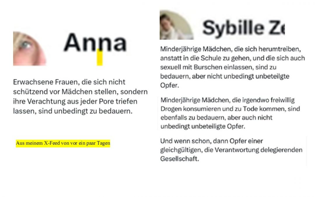 Gesetz zur Sicherung des Verstandenwordenseins (VerstworseGes)