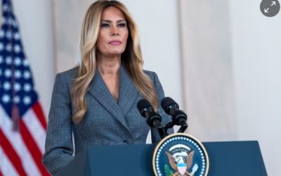 The lady doth protest too much, methink